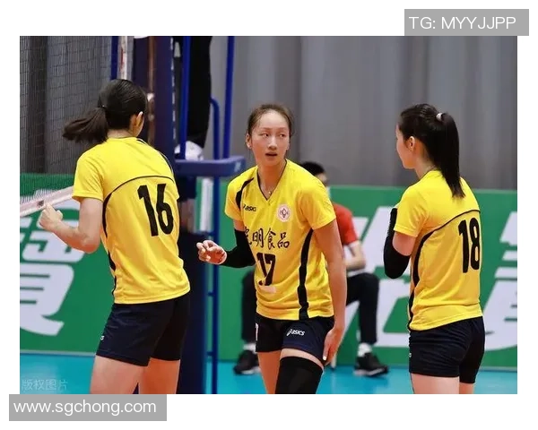 上海排球队在城市联赛中的节奏掌控与表现分析